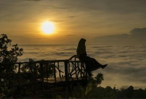 Batu Songgo Langit, Tempat Terbaik Menikmati Sunrise dan Hutan Pinus di Yogyakarta